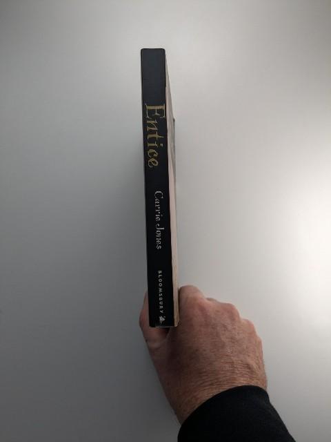 After Obsession, Captivate, Entice - 3 x Carrie Jones Books - Great Value