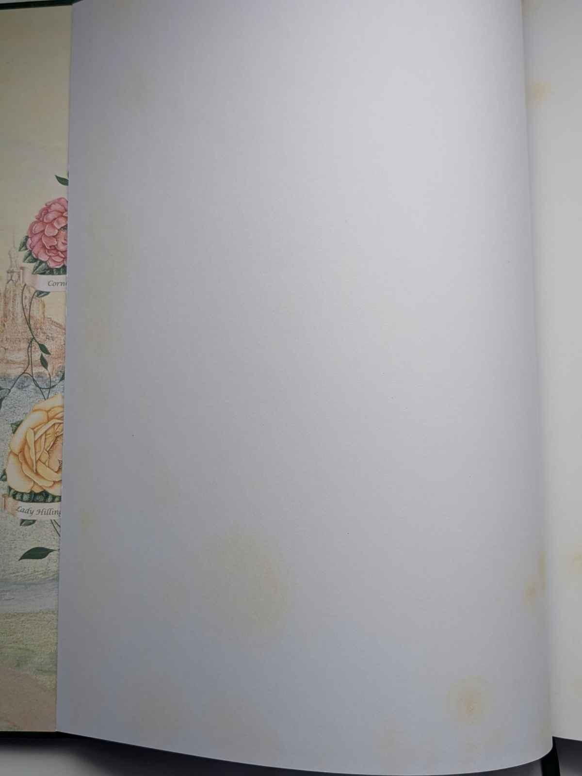 Bella's Story Sandra Rowland Children's HC