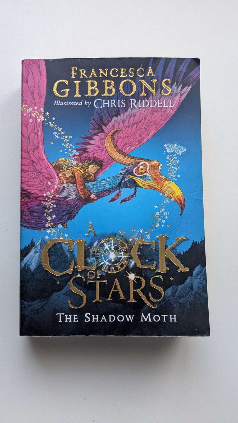 A Clock of Stars The Shadow Moth by Francesca Gibbons Paperback Illustrated
