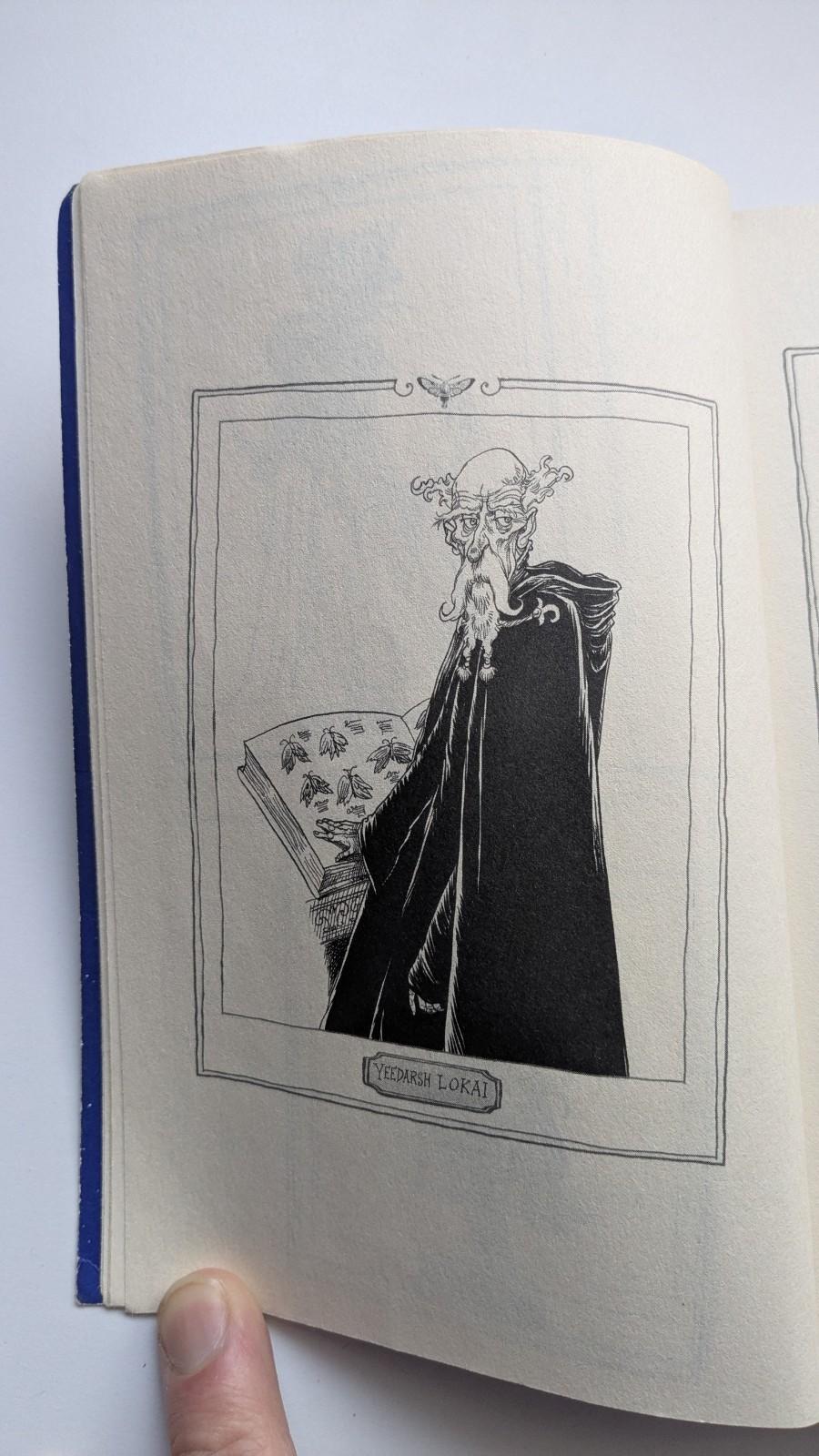 A Clock of Stars The Shadow Moth by Francesca Gibbons Paperback Illustrated